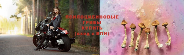 PSILOCYBIN Лихославль