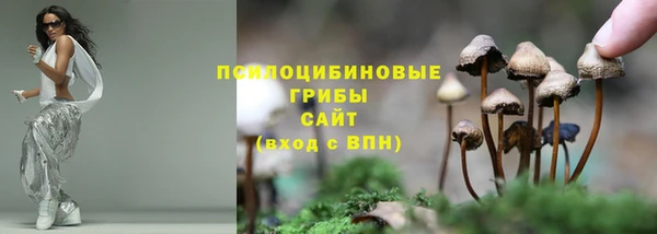прущий лед Майский