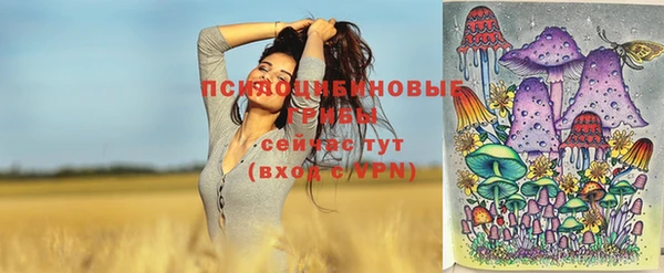 мдпв Липки